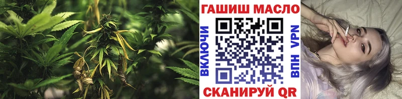 Купить закладки Сыктывкар ТГК гашишное масло