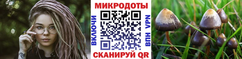 Галлюциногенные грибы Psilocybe  Купить где  Сыктывкар 